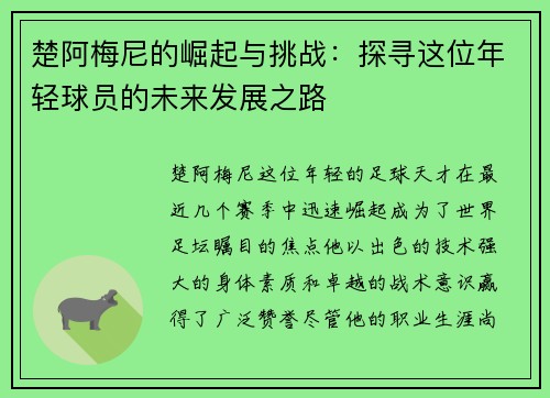 楚阿梅尼的崛起与挑战：探寻这位年轻球员的未来发展之路